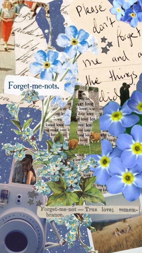 Aesthetic Forget Me Not, Dont Forget Me Aesthetic, Forget Me Nots Wallpaper, Forget Me Not Wallpaper Iphone, Forget Me Not Background, Forget Me Not Flower Aesthetic, Forget Me Not Aesthetic Wallpaper, Forget Me Not Flower Wallpaper, Forget Me Not Aesthetic