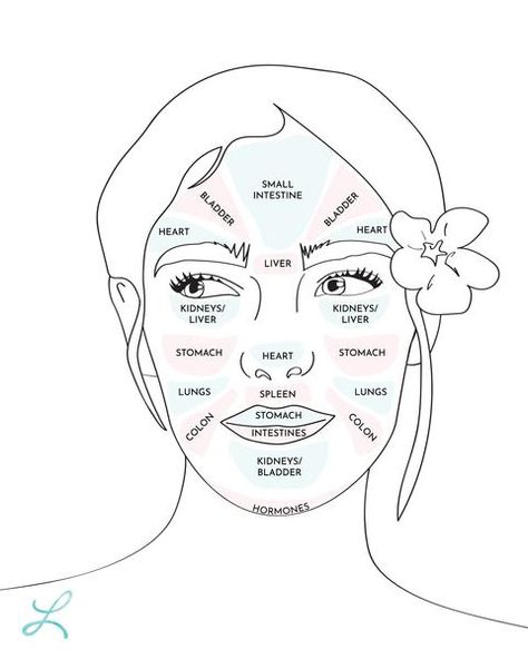 Makeup Map, Facial Mapping, Gesicht Mapping, Doterra Acne, Chin Acne Causes, Face Map, Chin Acne, Face Mapping Acne, Forehead Acne