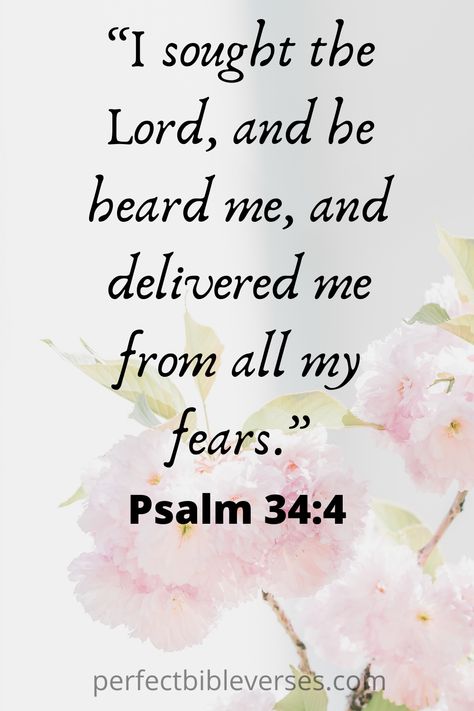 Psalms 34:4, When Your Scared Quotes, Bible Verses For When You Feel Scared, Bible Verses For When Your Scared, Bible Verses For Fear Scriptures, Fear Not Bible Verses, Bible Verses About Worry And Fear, Bible Verse When Scared, Scripture For When You’re Scared