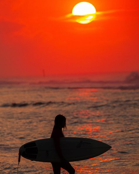 Surfer girl Surf Girls, Surfer Girl Aesthetic, Girl Surfer, Surf Beach, Aesthetic Stuff, June 30, Surfer Girl, My Mind, Surfing