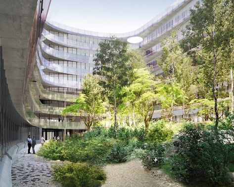 Herzog & de Meuron Reveal "Urban Forest" Office in Munich | Netfloor USA Urban Forest Landscape, Forest Office, Folding Architecture, Urban Forestry, Landscape And Urbanism Architecture, Patio Grande, Urban Forest, Writing Things, Green Office