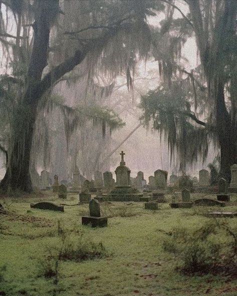 Southern Gothic Cemetery, Foggy Cemetery Aesthetic, Southern Swamp Aesthetic, Southern Gothic Background, Grunge Places Aesthetic, Creepy Garden Aesthetic, Southern Gothic Aesthetic Swamp, Spooky Swamp Aesthetic, Southern Gothic Landscape