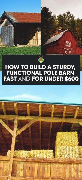 If you have a new homestead, like we do, you definitely need a barn. We show you how to build a pole barn that is cost effective and quick to build. Pergola Cost, Building A Pole Barn, Homestead Farm, Storage Shed Plans, Shed Kits, Barns Sheds, Barn Plans, Homestead Survival, Diy Shed