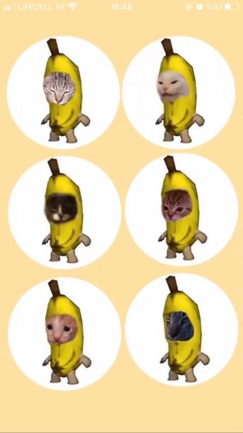 3 Couples Friends Profile, Brother Profile Picture, 2 Cats Matching Pfp, Matching Pfps For 5 Friends Anime, 5 People Matching Pfp Cat, Cat Matching Pfp For 4 People, Matching Pfp For 5 People Cats, Five Matching Pfp Friends, Matching Cat Pfps 4 People