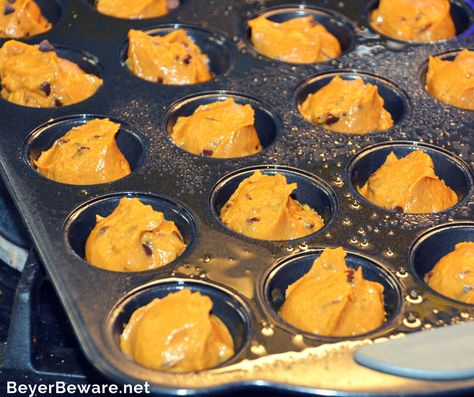 Blender Muffin, Balsamic Chicken Marinades, Pumpkin Peanut Butter, Gluten Free Pumpkin Muffins, Blender Muffins, Peanut Butter Muffins, Peanut Butter Pumpkin, Pumpkin Chocolate Chip Cookies, Gluten Free Muffins