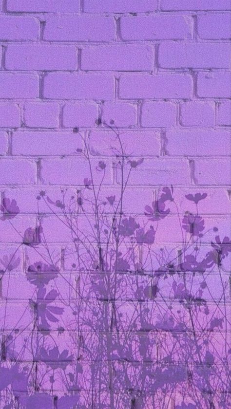 Lilac Asthetic Wallpers, Purple Astethic Wallpapers, Easthetic Wallpers Purple, Light Purple Astethics, Purple Aestethic Wallpaper, Purple Asthetics Photos, Purple Aesthic Wallpaper, Purple Things Aesthetic, Purple Spring Aesthetic