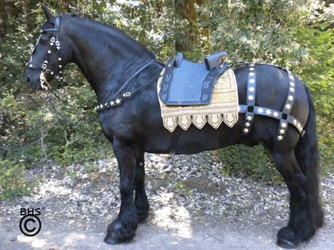 The Baroque Horse Store Horse Barding, Baroque Horse Tack, Medieval Horse Tack, Medieval Saddle, Equestrian Memes, Medieval Horse, Horse Armor, Horse Costumes, Horse Bridle