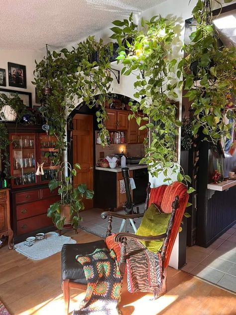 Earthy House Decor Ideas, Living Room Aesthetic Cottagecore, Plants Apartment Aesthetic, Separated Living Room, Living Room Vines, House Interior Plants, Room Entrance, Plant Aesthetic House, Dark Room Decor Ideas