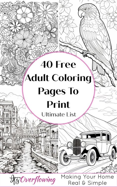 40 Free Adult Coloring Pages with Printable PDF Colouring Sheets For Adults, Free Adult Coloring Printables, Garden Coloring Pages, Adult Coloring Books Printables, Adult Colouring Printables, Abstract Coloring Pages, Adult Coloring Designs, Pattern Coloring Pages, Detailed Coloring Pages