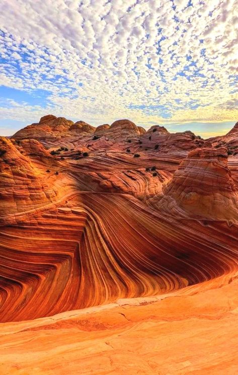 The Wave Arizona Photography, The Waves Arizona, Canyon Aesthetic, The Wave Arizona, Arizona Aesthetic, Utah Arches, Collage Project, Paris Travel Photography, Wave Rock