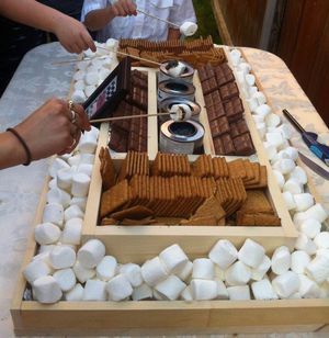 Smores Bar Wedding, Housewarming Party Themes, Christmas Engagement Party, Winter Engagement Party, Smores Bar, Engagement Party Themes, Christmas Engagement, Sweet Sixteen Parties, S'mores Bar