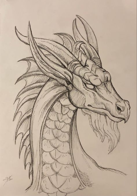 Realistic Dragon Drawing, Drawing Of A Dragon, Zine Inspiration, Easy Dragon Drawings, Face Art Drawing, Art Zine, Easy Acrylic Painting, Art Sketches Doodles, Dragon Sketch