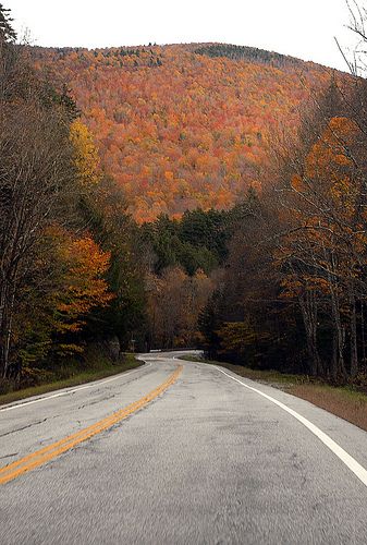 Upstate New York Aesthetic Fall, Appalachian Town Aesthetic, Upstate Ny Aesthetic, Upstate New York Aesthetic, Minneapolis Aesthetic, Upstate New York Fall, Upstate Ny Fall, Vermont Aesthetic, East Coast Fall