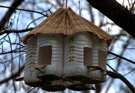 Bird Feeder Craft, Homemade Bird Houses, Bird Houses Ideas Diy, Homemade Bird Feeders, Bird House Feeder, Plastic Bottle Art, نباتات منزلية, Unique Bird Houses, Diy Bird Feeder