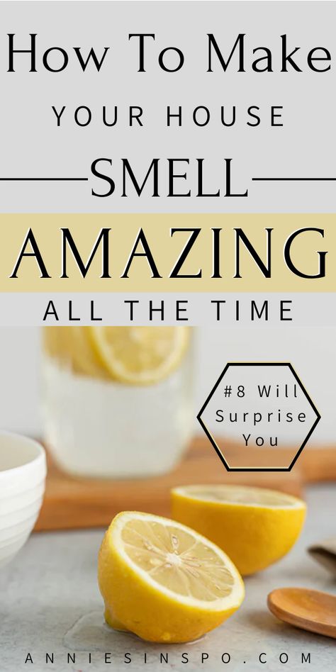 Are you looking for ways to make your house smell good ALL THE TIME!? If so, you will love these natural ways to make your home smell incredible. You won't believe number 8. #Spring #SpringCleaning #HomeDecor #Cleaning #CleaningTips Make Your House Smell Good, Make Your House Smell Amazing, Potpourri Recipes, Smelling Good, Organic House, Diy Air Freshener, House Smell Good, Home Smell, Kitchen Smells