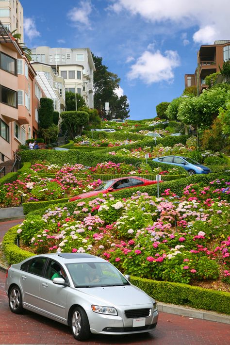 Lombard street, san francisco, california. View of Lombard Street, the crookedes , #SPONSORED, #francisco, #california, #View, #Lombard, #street #ad Lombard Street San Francisco, San Francisco Road Trip, San Francisco Pictures, San Francisco Itinerary, Weekend In San Francisco, San Francisco Streets, Visit San Francisco, Tahoe California, Lombard Street