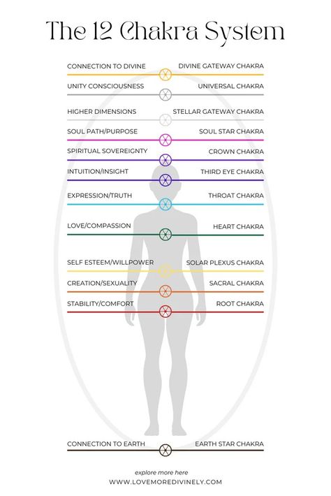 What is a Chakra? A Deep Dive into the 12-Chakra System and How it Sha - LITTLEMISSDESSA 12 Chakra System, Soul Star Chakra, Star Chakra, Body Diagram, Chakra Energy, Energy Centers, Chakra System, Spiritual Wellness, Solar Plexus Chakra