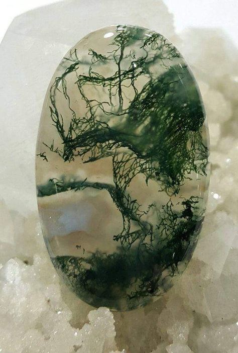 Agate Rocks, Pretty Rocks, Nature Artwork, Cool Rocks, Beautiful Rocks, Dendritic Agate, Minerals And Gemstones, Rocks And Gems, Organic Matter