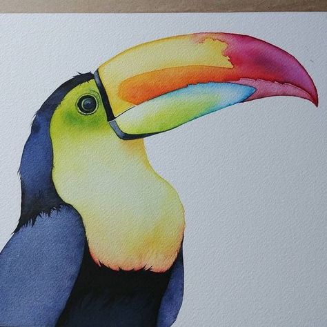 Toucan Art, Bird Painting Acrylic, Toucan Bird, Watercolor Paintings Easy, 수채화 그림, Watercolor Art Lessons, Tropical Art, Bird Drawings, Watercolor Drawing