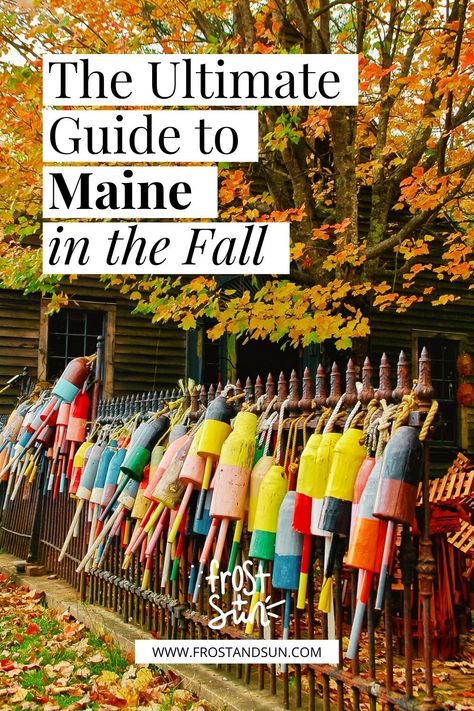 Maine Vacation Fall Road Trips, Maine In The Fall Road Trips, Fall In Bar Harbor Maine, Fall Maine Trip, Maine During Fall, Fall Festivals In New England, Maine Things To Do In Fall, Ogunquit Maine Fall, Things To Do In Maine In October