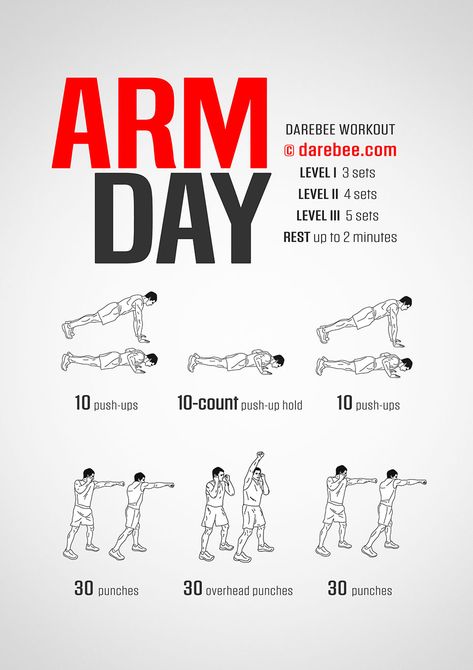 Define Arms Workout, Intense Arm Workout, Arm Workout No Equipment, Arm Day Workout, Arm Workout For Beginners, Dumbbell Arm Workout, Good Arm Workouts, Hiit Workout Routine, Tone Arms Workout