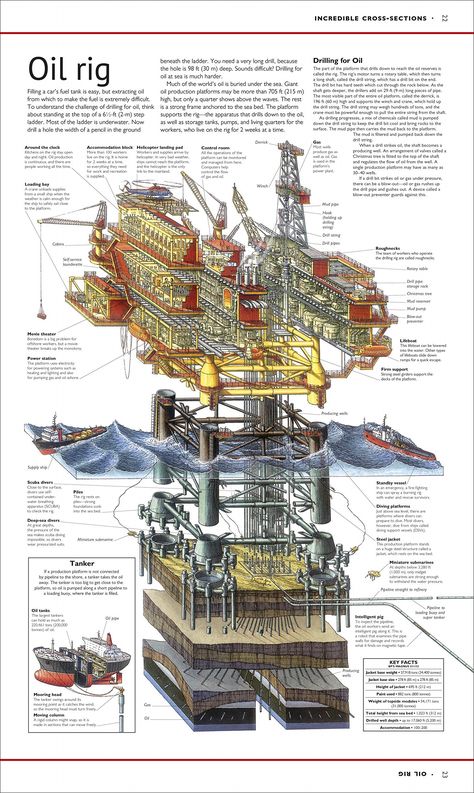 Oil Rig Architecture, Offshore Oil Rig, Petroleum Engineering, Engineering Notes, Oil Platform, Marine Engineering, Physics And Mathematics, Drilling Rig, Oil Industry