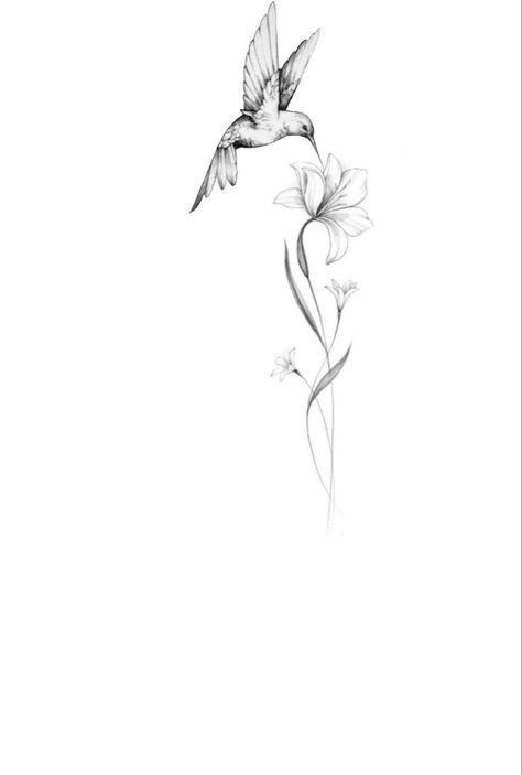 Humming Bird Spine Tattoo, Hummingbird Tattoo With Script, Hummingbird With Orchid Tattoo, Hummingbird Tattoo With Lilies, Hummingbird Tattoo Drawing, Hummingbird Bracelet Tattoo, Hummingbird And Orchid Tattoo, Family Based Tattoos, Hummingbird And Lily Tattoo