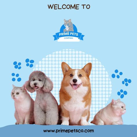 **Welcome to the Prime Pets family! 🐶🐱**

We're your one-stop shop for all things pet-related, offering a wide variety of high-quality products to keep your furry friends happy and healthy.

Whether you're looking for toys, beds, supplies, or accessories, we have something for every pet and every pet parent.

**Head over to our shop (link in bio!) to explore our selection and find the perfect products to spoil your pet.**

In the meantime, follow along for fun pet content, adorable animal pic...