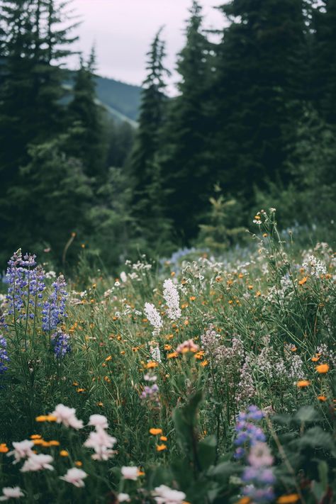 Discover a tranquil meadow brimming with wildflowers, where purple lupines dance beside pristine white blossoms, all set against majestic evergreens fading into the mist. Let nature inspire you. 🌼🌲 Save this beauty and follow us at treetee for more nature escapes. Nature, Wild Lupine Flowers, Montana Wildflowers, Stream Layout, Wildflower Aesthetic, Manifesting Magic, Minnesota Wildflowers, Lupine Flowers, Purple Wildflowers