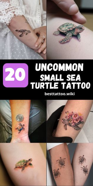 Explore our handpicked collection of 20 small sea turtle tattoo ideas for 2024, perfect for both men and women. From the minimalist outlines to colorful aquatic scenes, find the ideal design that resonates with your style. Whether it’s a delicate ankle tattoo, a whimsical wrist piece, or a meaningful match with a loved one, these tattoos blend simplicity with deep symbolism. Anchor And Turtle Tattoo, Unique Sea Turtle Tattoo, Sea Turtle Tattoo On Foot, Family Turtle Tattoo Ideas, Cute Turtle Tattoos For Women, Small Sea Tattoos For Women, Sea Turtle Family Tattoo, Small Sea Turtle Tattoos For Women, Green Sea Turtle Tattoo