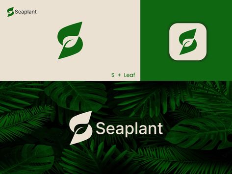 Letter S Leaf Logo (For Sale) by Jahirul Haque Jony (Logo Designer) for Fastphic on Dribbble Ui Design Principles, Pc Photo, Eco Logo, Medical Design, Logo Modern, Leaf Logo, Letter Logo Design, Modern Logo Design, Logo Designer