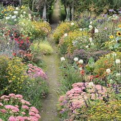 Prairie Garden, Herb Garden Design, Meadow Garden, Southern Garden, Cottage Garden Design, Garden Design Plans, Fine Gardening, Have Inspiration, Wildflower Garden