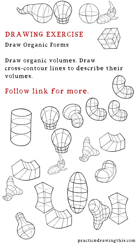 Drawing Exercises - Draw organic volumes. Draw cross-contour lines to describe their volumes. Basic Anatomy Drawing Tutorials, Perspective Exercises, Drawing Training, Shapes Drawing, Basic Anatomy, Drawing 101, Geometric Shapes Drawing, Basic Sketching, Beautiful Pencil Drawings