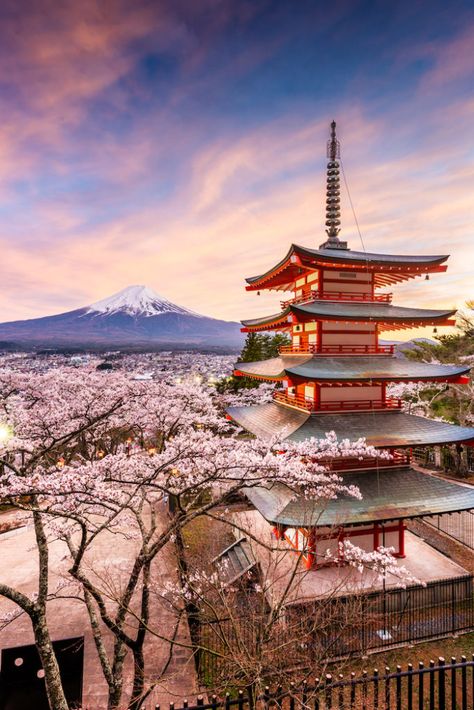 The Best Spots to See Cherry Blossoms Around Nagoya - GaijinPot Travel Chureito Pagoda, Day Trips From Tokyo, Cherry Blossom Japan, Monte Fuji, Blossom Season, Japan Itinerary, Mont Fuji, Cherry Blossom Season, Kanazawa