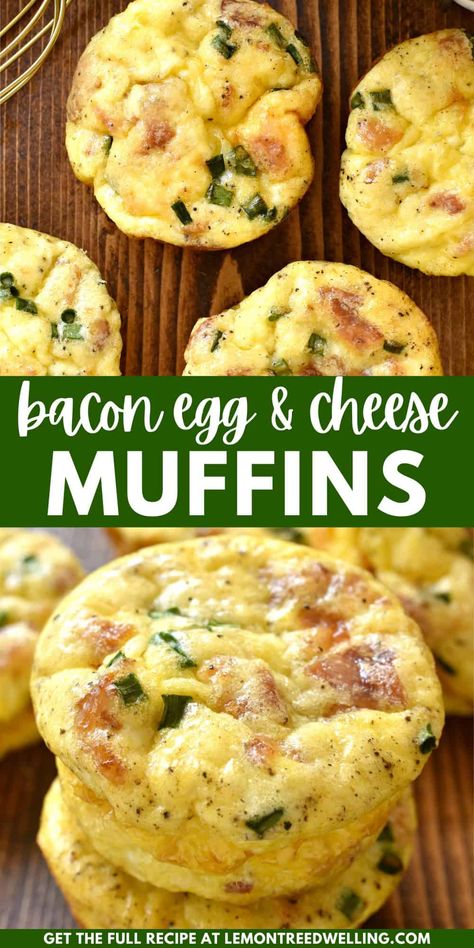 Egg Muffins are the perfect breakfast option for busy mornings. Loaded with all your breakfast favorites -like bacon, eggs, and cheese - they're simple, savory, and so delicious! Breakfast Ideas Egg Muffins, Healthy Breakfast Muffins Egg, Savoury Egg Muffins, Simple Ingredient Breakfast, Brunch Egg Bites, Simple Breakfast Ideas On The Go, Veggies For Breakfast Ideas, Best Egg Muffins Breakfast, Breakfast Egg Cups Make Ahead