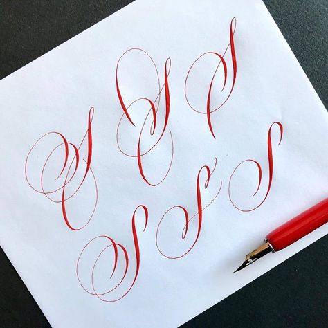 Calligraphy S, S Calligraphy, Basic Calligraphy, Calligraphy N, Bee Images, Snake Drawing, Letter Art Design, Calligraphy Tutorial, Copperplate Calligraphy