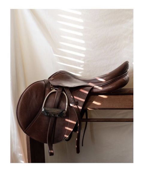 Hunter jumper riding saddle on a tree in front of a white backdrop with dramatic linear lighting. Equestrian Product Photography, Horse Product Photography, Polo Horse Aesthetic, Stable Photoshoot, Equine Aesthetic, Equestrian Branding, Saddle Photography, English Horseback Riding, Aesthetic Equestrian