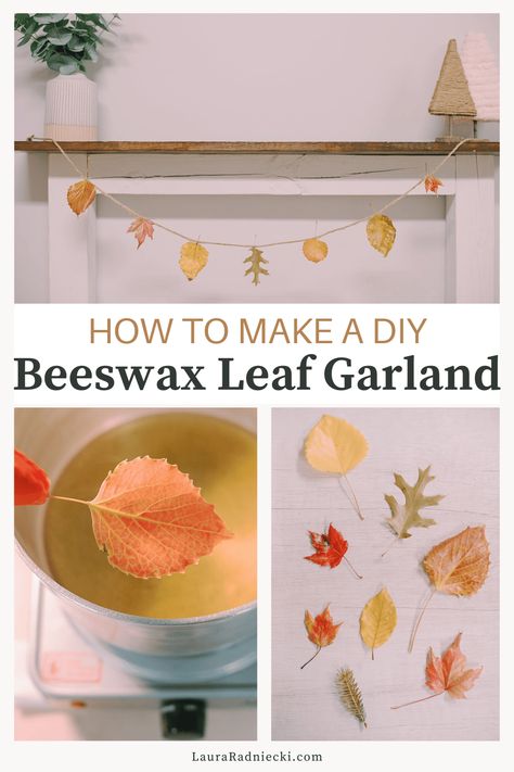 Learn how to make a gorgeous, eco-friendly beeswax leaf garland using colorful fall leaves that are dipped in melted beeswax to preserve them. How To Wax Leaves, Real Leaf Garland Diy, Wax Dipped Leaves, Beeswax Leaves, Eco Friendly Crafts, Wax Leaves Fall Crafts, Beeswax Dipped Leaves, Wax Leaves Garland, Wax Leaf Garland