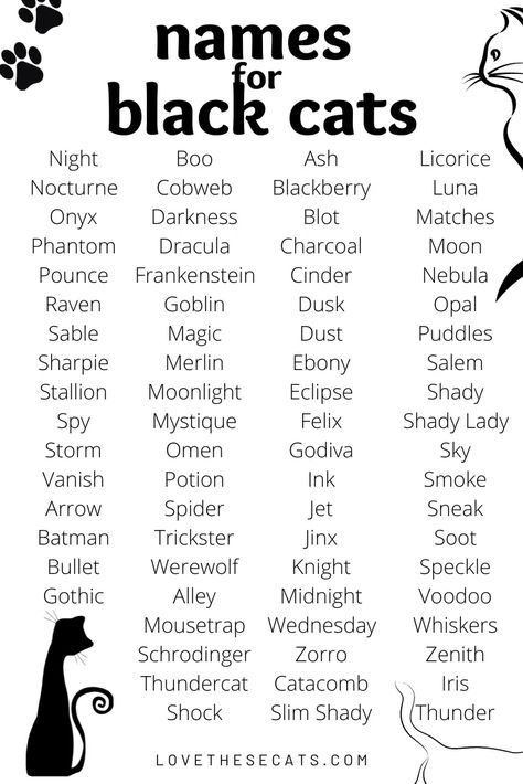 Cute Cat Names Aesthetic, Fantasy Pet Names, Rare Cat Names, Black Cat Names Boys, Witch Cat Names, Witchy Girl Names, Warrior Cats Name Ideas, Boy Cat Names Unique, Cat Names For Boys