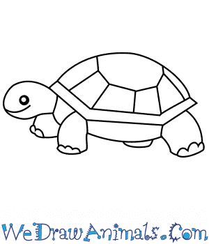 *FR*Turtle Drawing & Sketches For Kids Cute Turtle Drawing Easy, Turtle Drawing Cartoon, Turtle Easy Drawing, Sea Turtle Drawing Simple, Turtle Drawing Simple, Drawing Sketch For Kids, Easy Turtle Drawing, Sketches For Kids, Turtle Outline