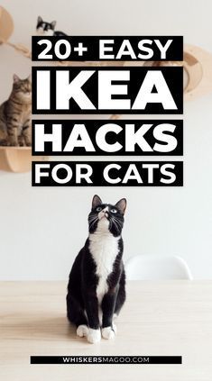 Ikea Cat Bed, Ikea Hacks For Cats, Ikea Cat, Katt Diy, Easy Ikea Hacks, Katt Grejer, Kat Diy, Koti Diy, Chat Diy