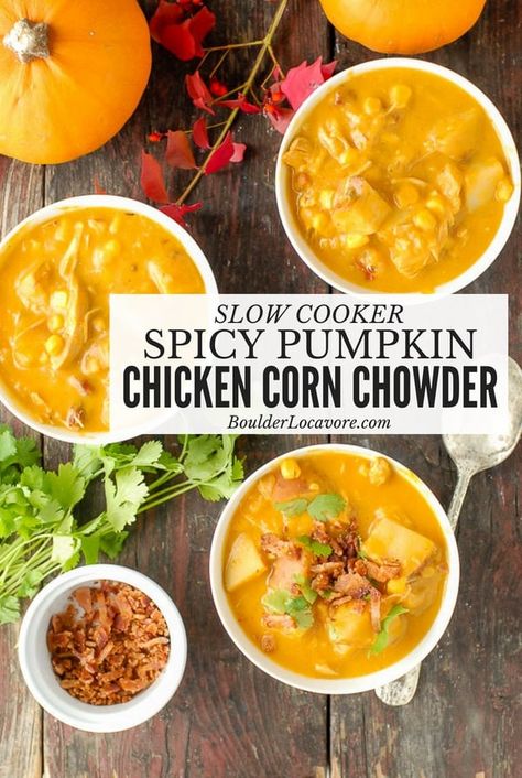 Slow Cooker Spicy Pumpkin Chicken Corn Chowder is thick, chunky comfort food you'll love. An easy recipe takes no time to prepare. Cooks in 4-6 hours in the Slow Cooker. Smoky, spicy, soup to sink your teeth into. #slowcooker #easyrecipe #soup #chowder #chicken #corn #pumpkin #comfortfood #easydinner Savory Soup Recipes, Soup Chowder, Warming Soups, Pumpkin Chicken, Chicken Chowder, Chicken Pumpkin, Chicken Corn Chowder, Chicken Corn, Spicy Soup