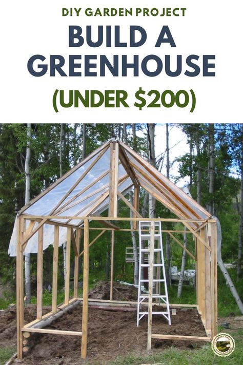 Cheap Green House Diy, Aquaponics Greenhouse Diy, Diy Tropical Greenhouse, Diy Outdoor Greenhouse Cheap, Scrap Greenhouse, How To Build A Greenhouse Cheap, Greenhouse Attached To House Diy, Diy Greenhouses Cheap, Greenhouses To Buy