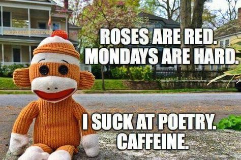 Monday Coffee Meme, Monday Sucks, Monday Coffee, Coffee Meme, Monday Memes, Monday Humor, What Day Is It, Work Memes, Sock Monkey