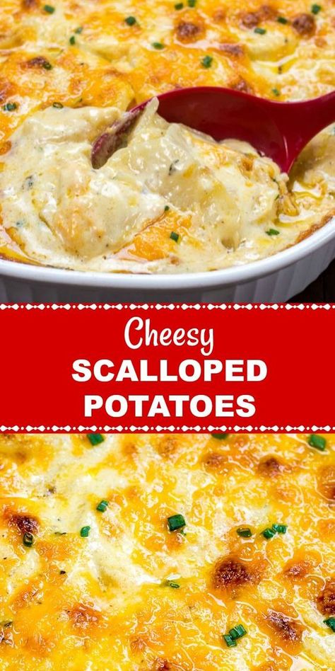 Christmas Food Ideas For Dinner, Easy Cheesy Scalloped Potatoes, Cheesy Scalloped Potatoes Recipe, Cheesy Scalloped Potatoes, Scalloped Potatoes Easy, Scalloped Potatoes And Ham, Thanksgiving Side Dishes Easy, Scalloped Potatoes Cheesy, Scalloped Potato Recipes