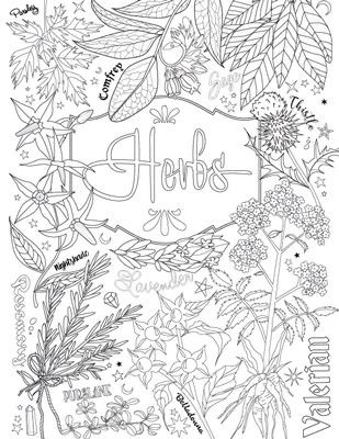 Coloring Book Of Shadows, Witch Coloring Pages, Magia Das Ervas, Book Of Shadow, Adult Colouring Pages, Printable Adult Coloring Pages, Printable Books, Up Book, Spell Book