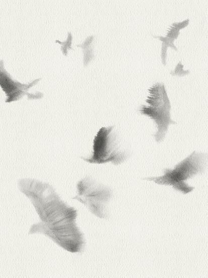 'Birds in Flight - Glide' Giclee Print - Kristine Hegre | Art.com Winged Creatures, Portrait Background, Artwork Display, Brand Board, Bird Illustration, Painting Edges, In Flight, Bird Prints, Advanced Technology