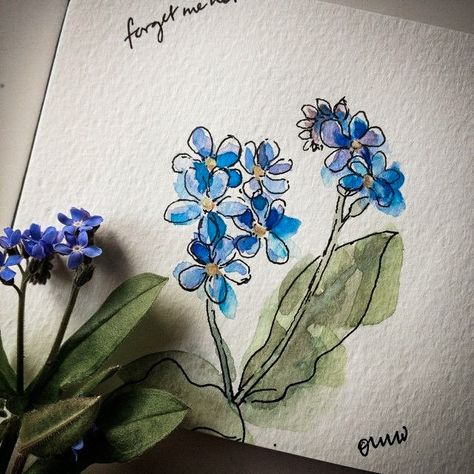 Ohn Mar Win, Flowers Drawing, Doodle Tattoo, Sketch A Day, Watercolor Flowers Paintings, Flowers Spring, Sumi E, Forget Me Not, Watercolor Cards