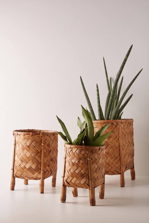 Vertical Garden Wall Planter, Bamboo Planter, Bamboo Decor, Vertical Garden Wall, Anthropologie Home, Basket Planters, Floral Garden, Diy Home Crafts, Hanging Baskets