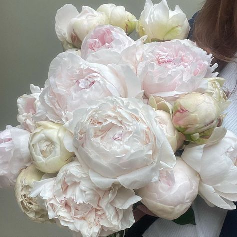 Peony Flower Aesthetic, Peonies Aesthetic, Peony Aesthetic, Peonies White, White Peonies Bouquet, Peonies Wedding, Floral Design Classes, Flower Boquet, Flowers Peony